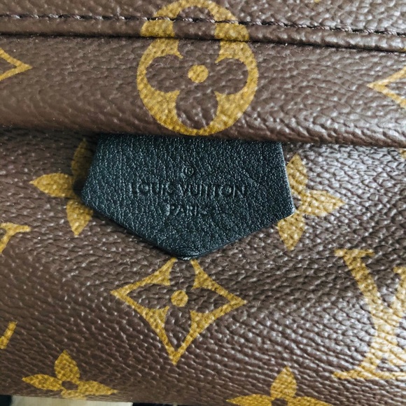 ‼️sold‼️Louis Vuitton Palm Springs Mini Monogram - Picture 3 of 12